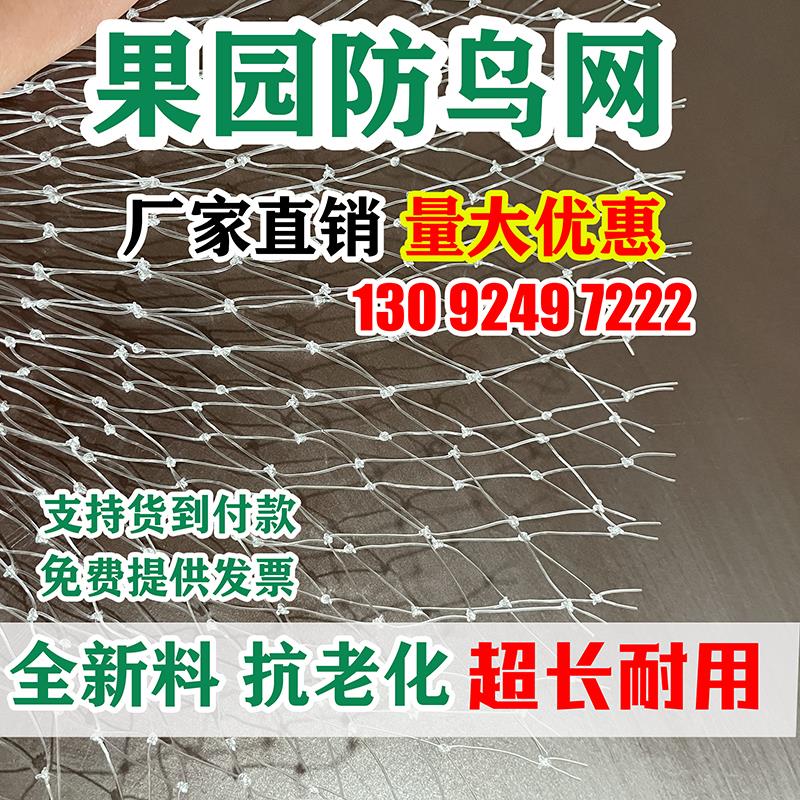 果园防鸟网嘉宝果树樱桃葡萄园防鸟用网大棚梨树鱼塘养殖尼龙天网