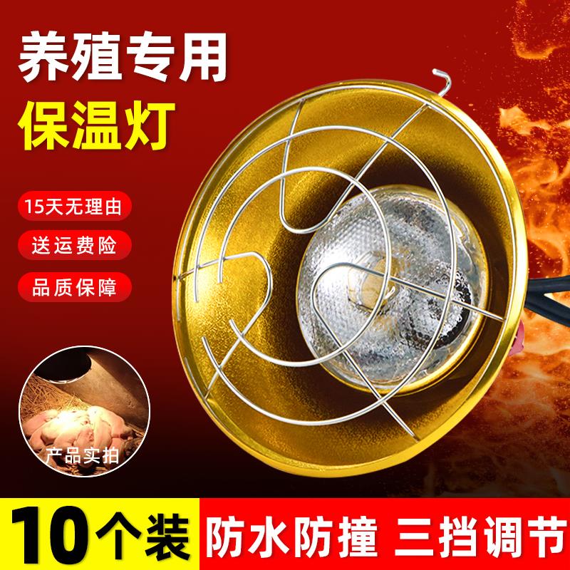 保温灯养殖场加厚猪仔猪夏季加热红外线取暖保暖灯泡用烤灯