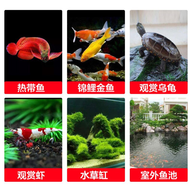 鱼缸净水剂告别鱼缸养鱼水浑浊腥发黄打造空气缸水质净化