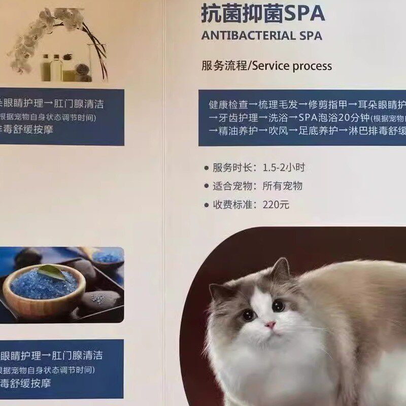 宠物店价目表价格表设计制作洗澡店洗护价目表展示牌养生诊所服务