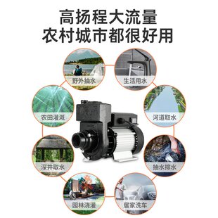 直流自吸泵通电动车抽水泵农用大洒水车无刷离心泵