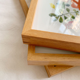 鸟 饰画柚木实木框画 世界照片墙精致挂画客厅背景墙现代装