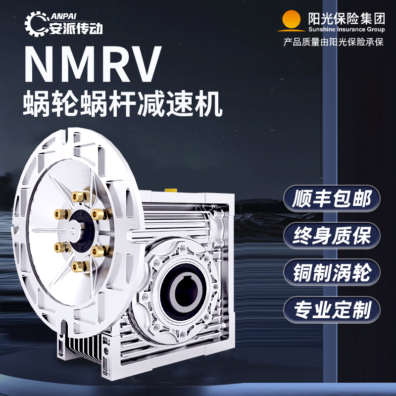 RV30 40 50 63 75 90110减速机蜗轮蜗杆齿轮箱小型NMRV涡轮减速器