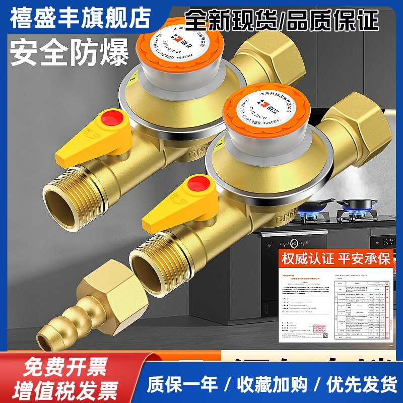 新国标煤气减压阀家用煤气罐安全阀自动关闭低压阀燃气煤气灶阀门