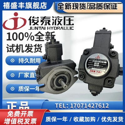 俊泰JUNLINGPAI油泵JUNTA叶片泵VP-SF-12/15/20/30/40-D VP-20D
