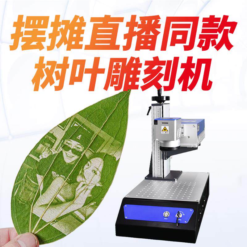 汉工树叶激光雕刻机 叶雕机叶片刻印设备 适合可乐钥匙扣打标机