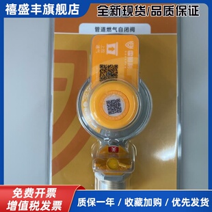 霍姆利燃气自闭阀0.9L2.5L 家用天然气防泄漏安全阀 B41A41塑封装