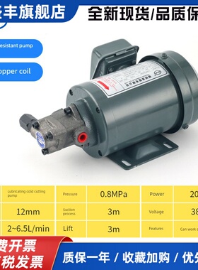 380v2齿轮泵电机Rop1213A摆动泵机床润滑泵螺杆机润滑泵