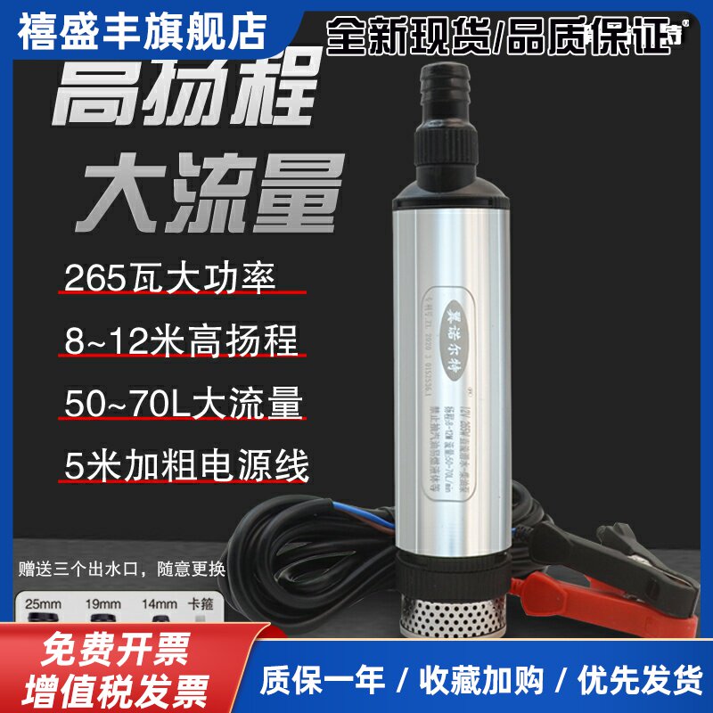12V电动柴油抽油泵抽水泵大功率抽药泵24V小型潜水泵220V抽油神器