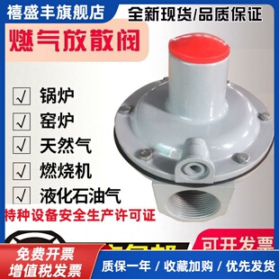 RAF天然气燃气安全放散阀超压放散阀燃气安全阀泄气阀厂家直销