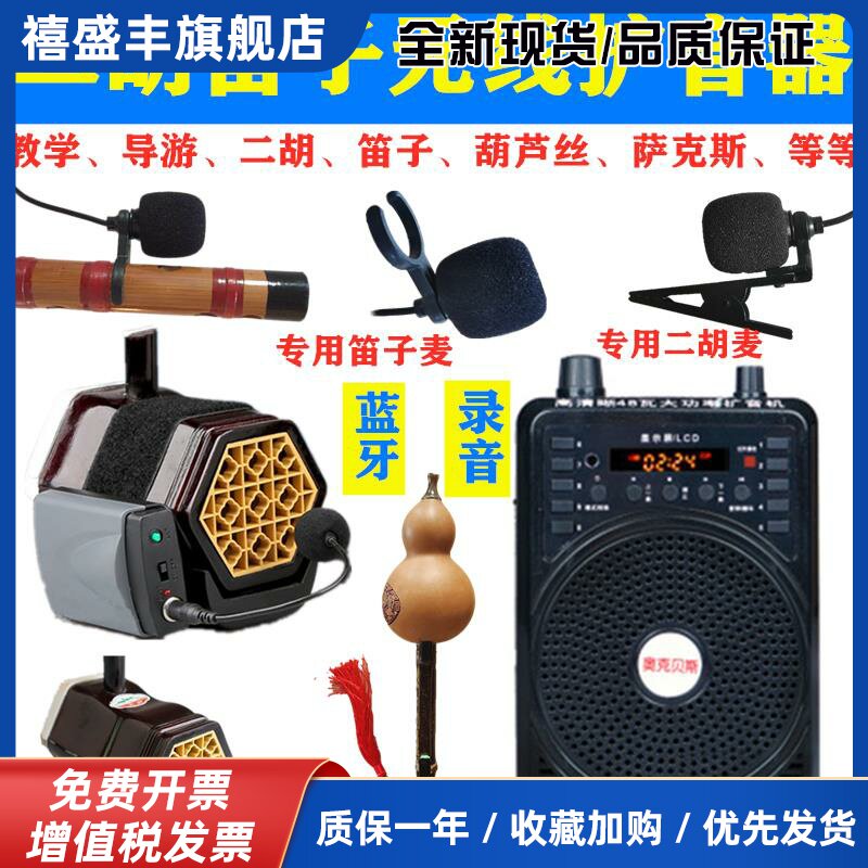 二胡笛子葫芦丝萨克斯口琴萧乐器专用无线 线音响扩音器蓝牙可携