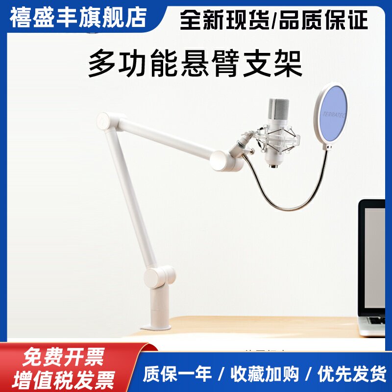 TERRATEC 麦克风话筒悬臂桌面支架直播神器舞台K歌万向铝合金架子