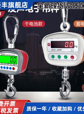 友声电子吊秤500kg家用吊秤1吨吊磅挂秤小吊秤300kg吊称100kgOCS