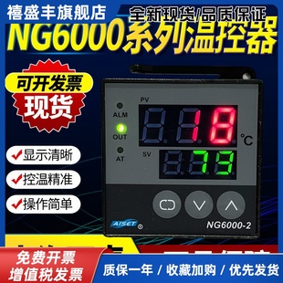 6401V 2D上海亚泰仪表AISET温控器NG6000 2N温度表6431 6411