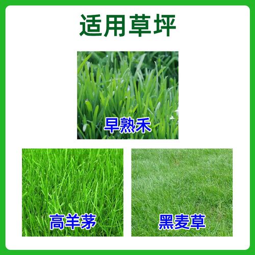 草坪隆青苔净青苔星伤草坪酸碱调剂专除草坪藻类苔藓除剂