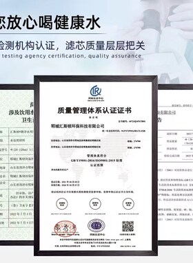 汇斯顿端压缩活性炭椰壳炭自来水厂大胖