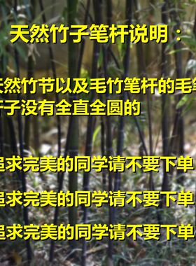 弘扬轩毛笔露真 草 隶 篆 练习用笔 培训班用笔 只