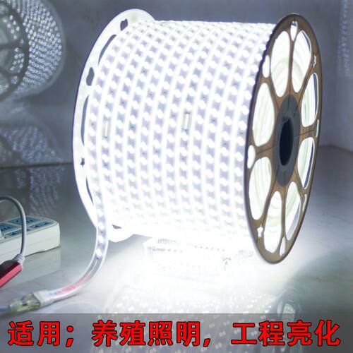 灯带led家装户外养殖工地