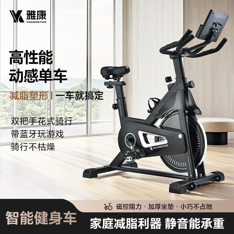 跨境磁控智能动感单车家用室内健身车健身房器材超静音运动自行车