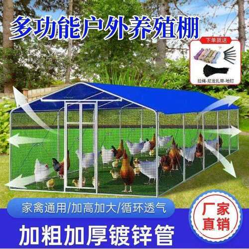 户外鸡棚超特大号兔笼鸡笼鸽笼孔雀笼防雨鸡棚鸡舍搭架养殖鹏