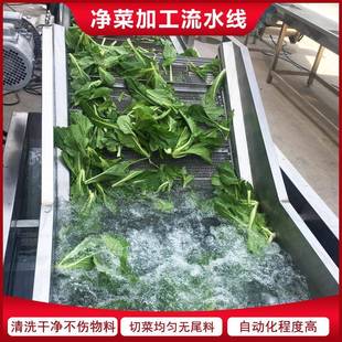 多功果蔬清洗机滤 石榴山楂全能动自清洗机 胡萝卜过清洗机FUR