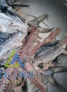 鱼肉市机场不锈商QPH钢鱼肉采机鱼骨肉分离肉机鱼泥虾滑机鱼骨分
