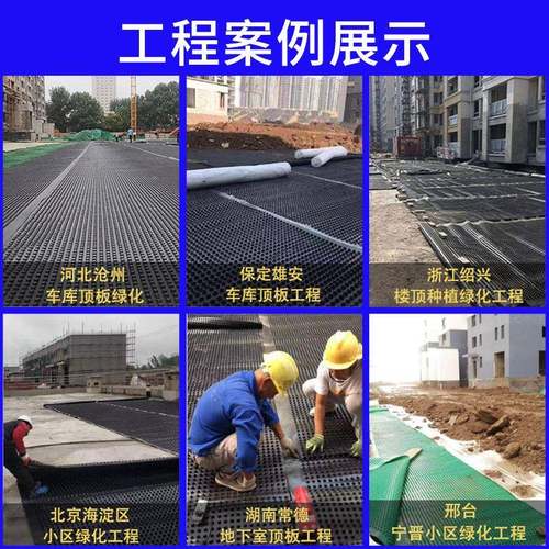 料排水板H导DPE楼顶绿化塑ZAU库凹凸水板地下室花园定制疏水车板