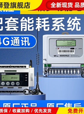 威胜DTS343无线远程抄表三相四线智能多功能导轨电表DTSD342-P5N