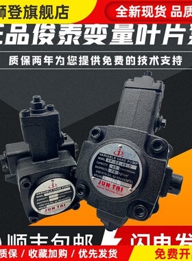 JUNTAIVP-SF-20-D液压油泵30 15 12 40变量叶片泵泵头VP20 S9