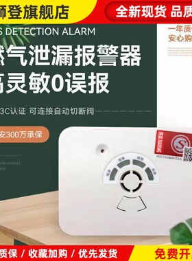 汉威JT-KEIB燃气泄漏报警器家用天然气消防认证可燃气体探测器