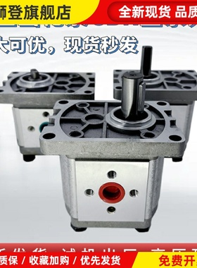 CBN-F316齿轮泵CBN-F314/CBN-F306/CBN-F310/CBN-F320/CBN-304/CB