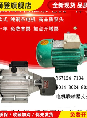 CB-B4/B6/B10锯床齿轮油泵电机370/550W金华龙达正方YS7124/7134