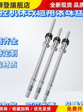 FL型研磨滚珠丝杆数控机床改造用FL2004*420,480,501,520,530,580