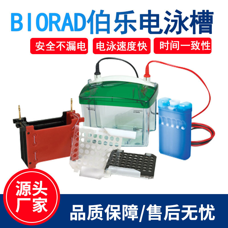 美国伯乐电泳槽BIORAD小型垂直电泳转印槽Mini-PROTEAN电泳蛋白槽