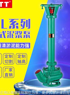 厂家NL立式泥浆泵 NL80-12污泥淤泥抽泥泵长杆泥浆泵