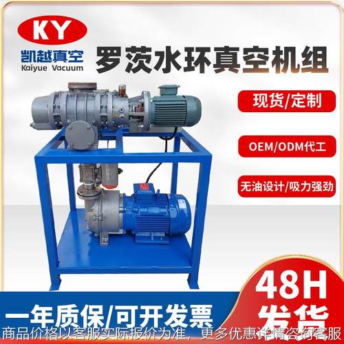 定制罗茨水环真空机组电池厂专用抽真空设备机械密封罗茨泵机组