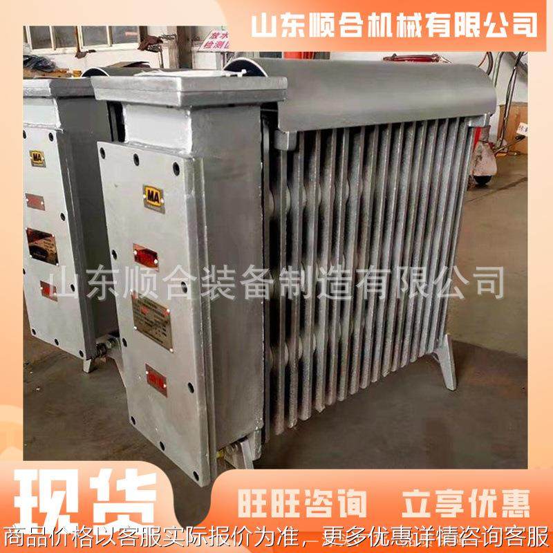 RB-2000/127防爆取暖器 铸铁防爆取暖器 煤矿用隔爆型电热取暖器