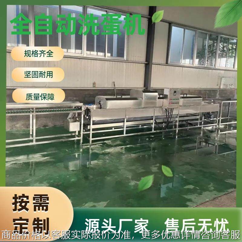 商用全自动蛋品清洗流水线烤鸭蛋松花蛋清洗设备无菌蛋杀菌洗蛋机,厨房电器,其他商用厨电,淘宝优惠券,粉丝福利购,淘宝优惠卷