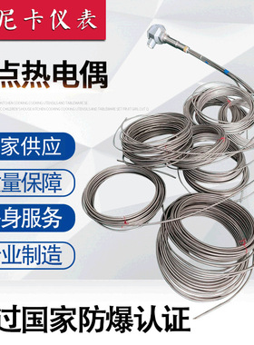 厂家供应多点热电偶 气化炉储存罐WRN-240DK型防爆多点铠装热电偶