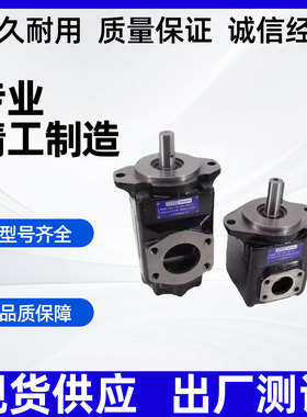 T6E-072-1R03-A1派克油泵T6E-066-1R01-A1丹尼逊叶片泵T6C/T6D