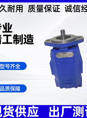 泊姆克齿轮泵P124A085A0ZA1D-54油泵铁福来油泵P124B182XDZA10-54