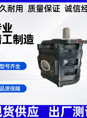 泊姆克马达PERMCO齿轮泵115133400 P124B085NSZA20 1121102341