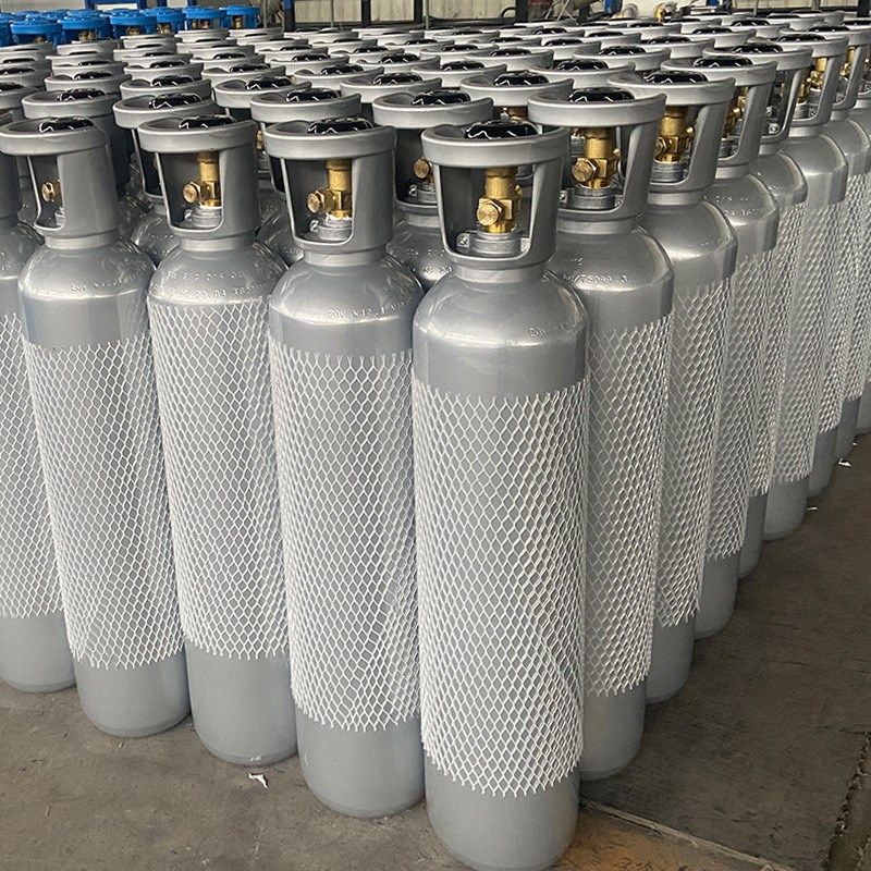 二氧化碳气瓶乐精酿啤酒钢瓶苏打水气泡水通用充气