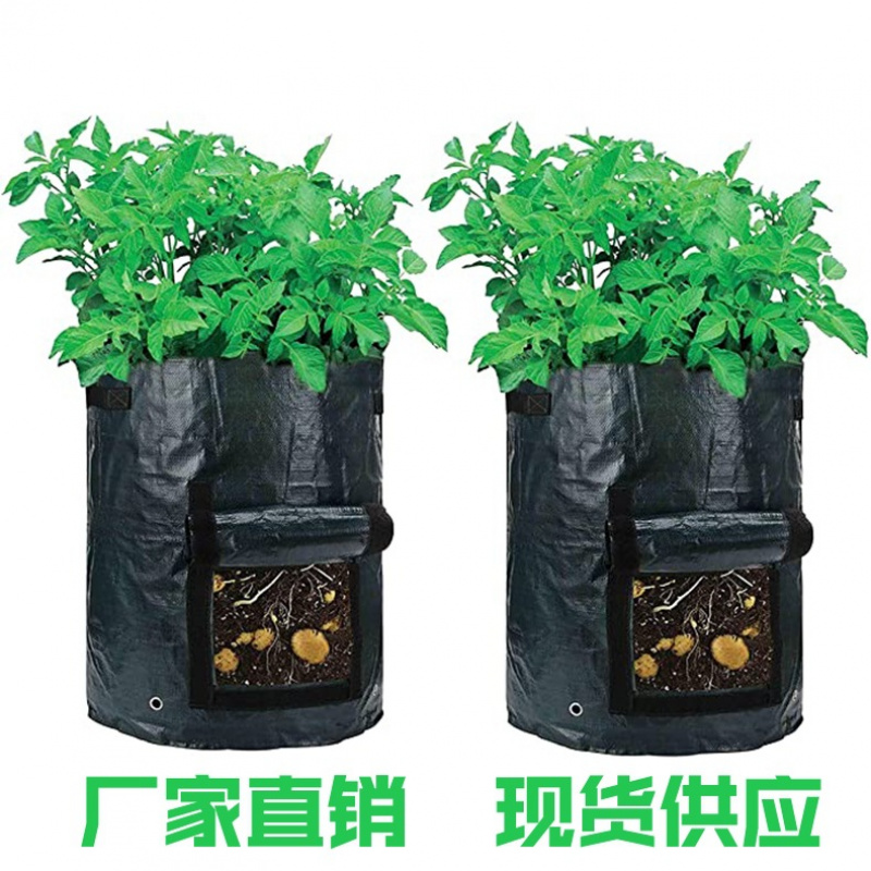 黑色PE土豆西红柿种植袋园艺植物