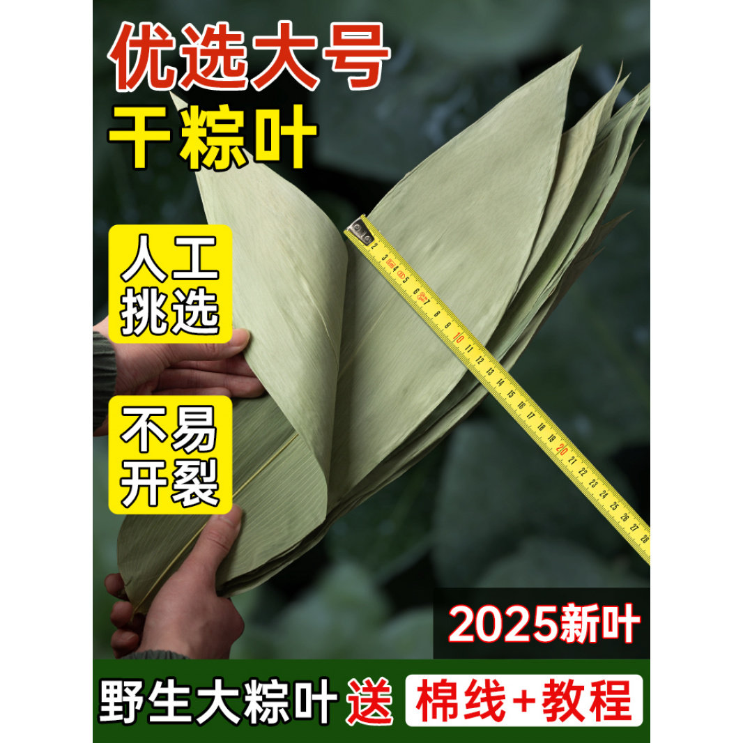 干粽叶大码粽子叶免邮新鲜麻竹箬