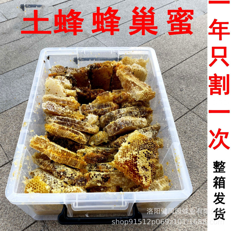 蜂巢蜜深山野自然成型百花蜜可嚼着吃土蜂巢蜜块老巢蜜现割原蜜