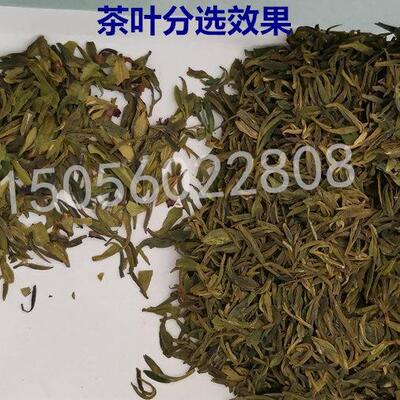 茶色机选单层茶叶筛选机红茶绿茶挑黄叶茶叶梗zlx64-64杂质拣茶茶