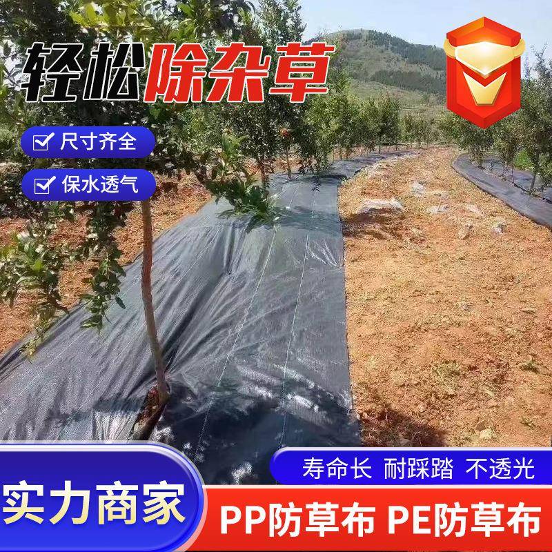 色布编防织草果园大NDS棚抑草布农用花卉透气抗黑老化新型生态防