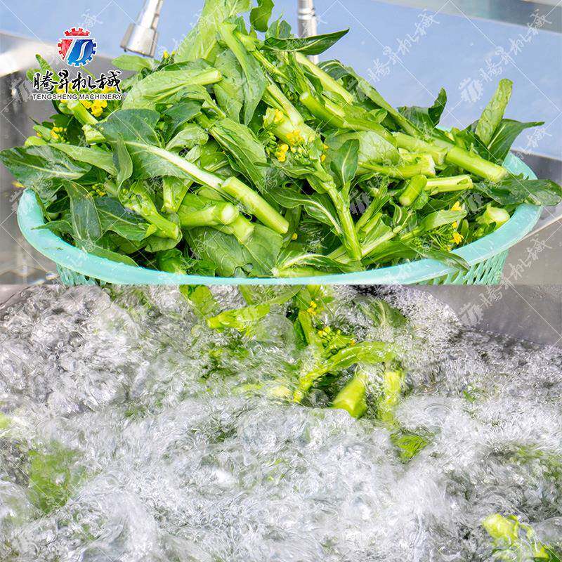 昇机械供型TS-AZ单缸果腾蔬ZDR应清洗机 小商用气泡洗菜机 洗果机