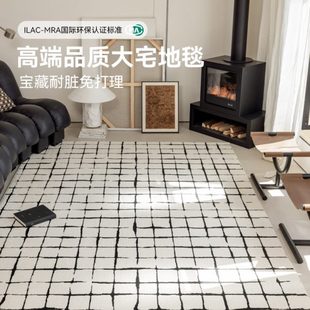 现代轻奢高级感防水防污可擦免洗满铺沙发卧室毯 地毯客厅2024新款